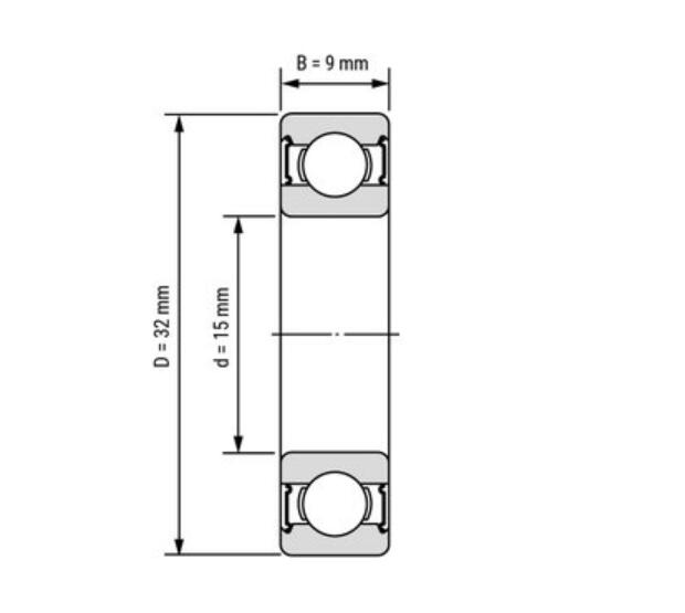 6002 Rulman